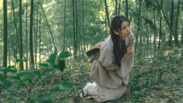 ??å½¢å??¤è??æþA?¤çº¯å??§æ??è§£æ?? ??å½¢å??¤è??æþA?¤çº¯å?人ç?©ä?ç»? 2