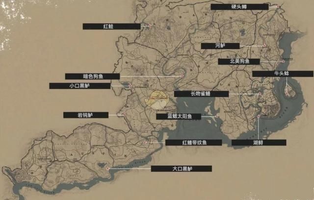 ????大é??å®???ä¹???é±?????大é??å®?ä¼?å¥?é±¼ç???·å??ä½?ç½ 2