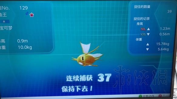 ??精�?��???��???��?�?�?????�??��????????1�????��???� 6