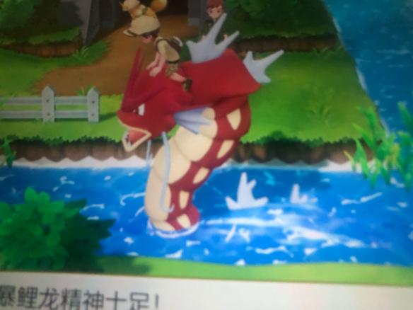 ??精????LetsGo???????????鱼?????????????? 11