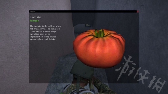 ??DayZ??????质????????????质? 3