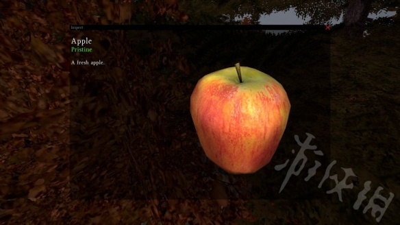 ??DayZ??????质????????????质? 6