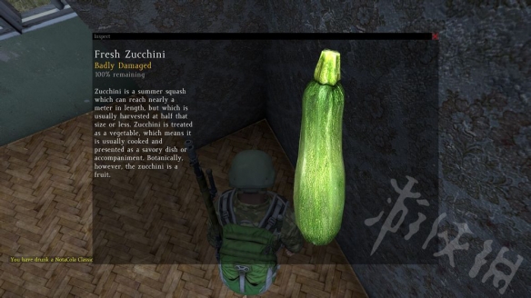 ??DayZ??????质????????????质? 7