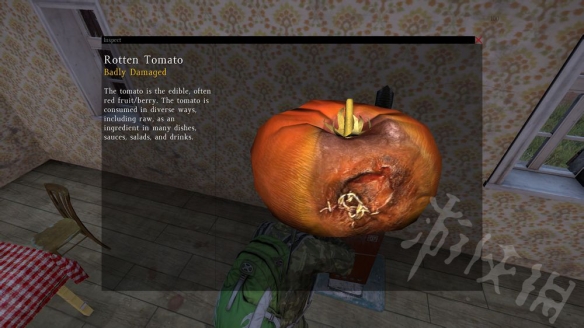 ??DayZ??????质????????????质? 4