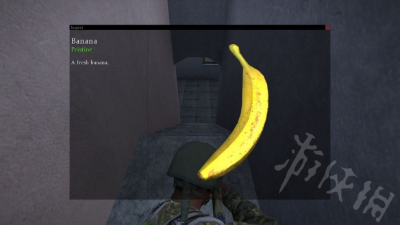 ??DayZ??????质????????????质? 5