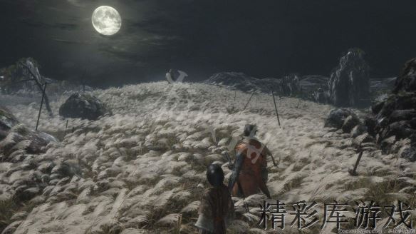 《只狼影逝二度》全boss数据一览 哪个boss比较强 1