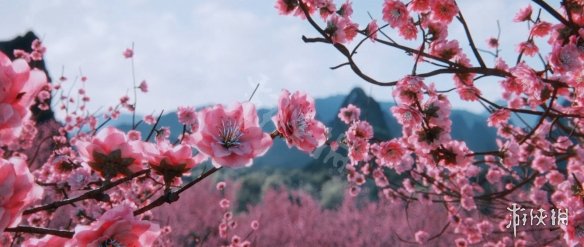 ???��?��??�?�??��??补�???��??�??? 补�??�?�?OD使�?��?��?�?�? 2