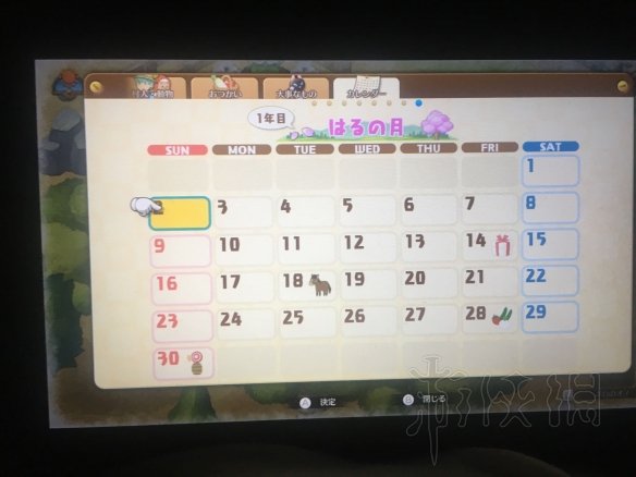 ??????>???????????项?????? ??????? 4