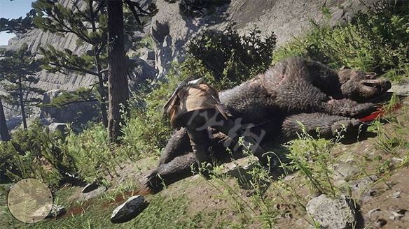 《荒野大镖客2》传奇熊怎么杀 传奇熊位置打法教学一览 5