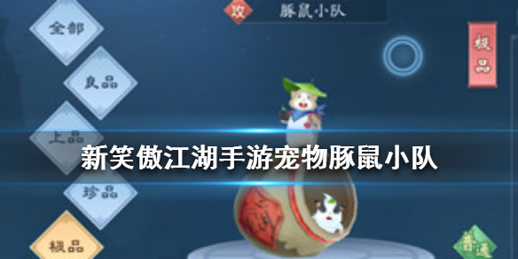 《新笑傲江湖》宠物豚鼠小队 豚鼠小队宠物图鉴 1