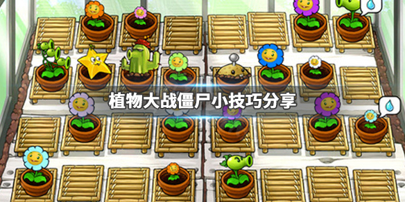 ????大???尸?????巧?? 游???????? 1