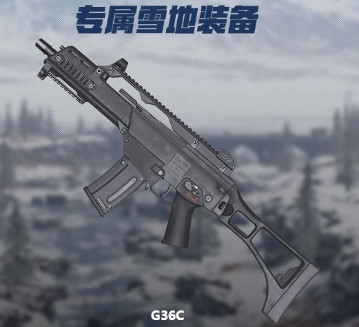 ?????G36C????? ?????36C???? 1