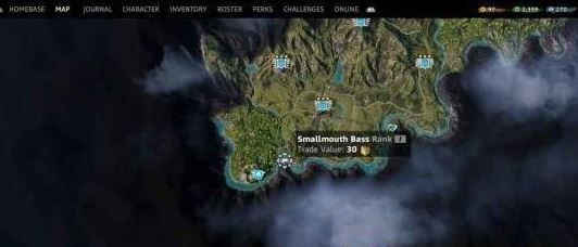 孤�???�??��????鱼�?��???? 孤�???�??��????鱼类??�??��?�大? 3