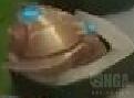 ?????顶?? ?顶??????????? 5