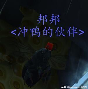 ?????8.2.5????????????????? ?????8.2.5?????????????????? 11