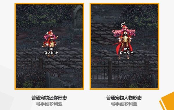 DNF2020?��??�?�??��???�? DNF2020?��?�礼??�??��?�? 2